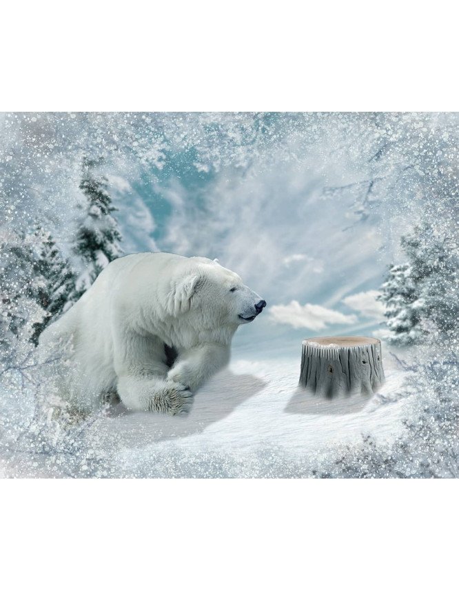 Child and Polar Bear Custom Portrait Paintings Child and Polar Bear Custom Portrait Paintings